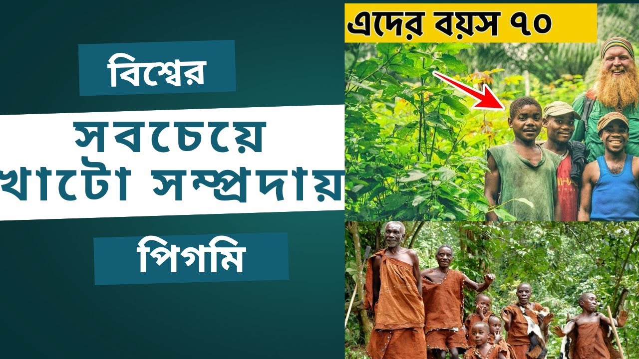 বিশ্বের সবচেয়ে খাটো সম্প্রদায় পিগমি | আফ্রিকা মহাদেশ | Africa tribe | 