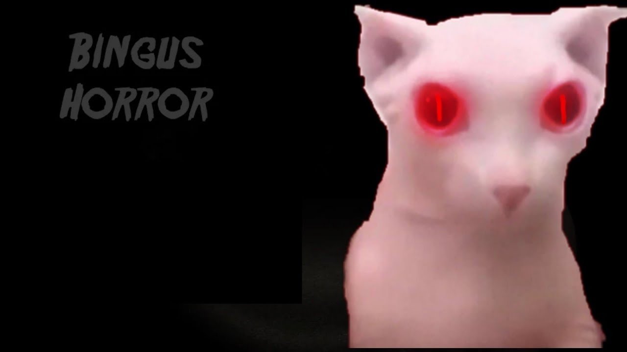 || Bingus Horror Game Android Full Gameplay