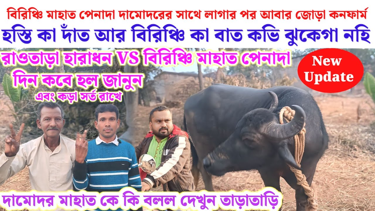 বিরিঞ্চি মাহাত পেনাদা দামোদরের সাথে লাগার পর আবার জোড়া কনফার্ম করলেন 