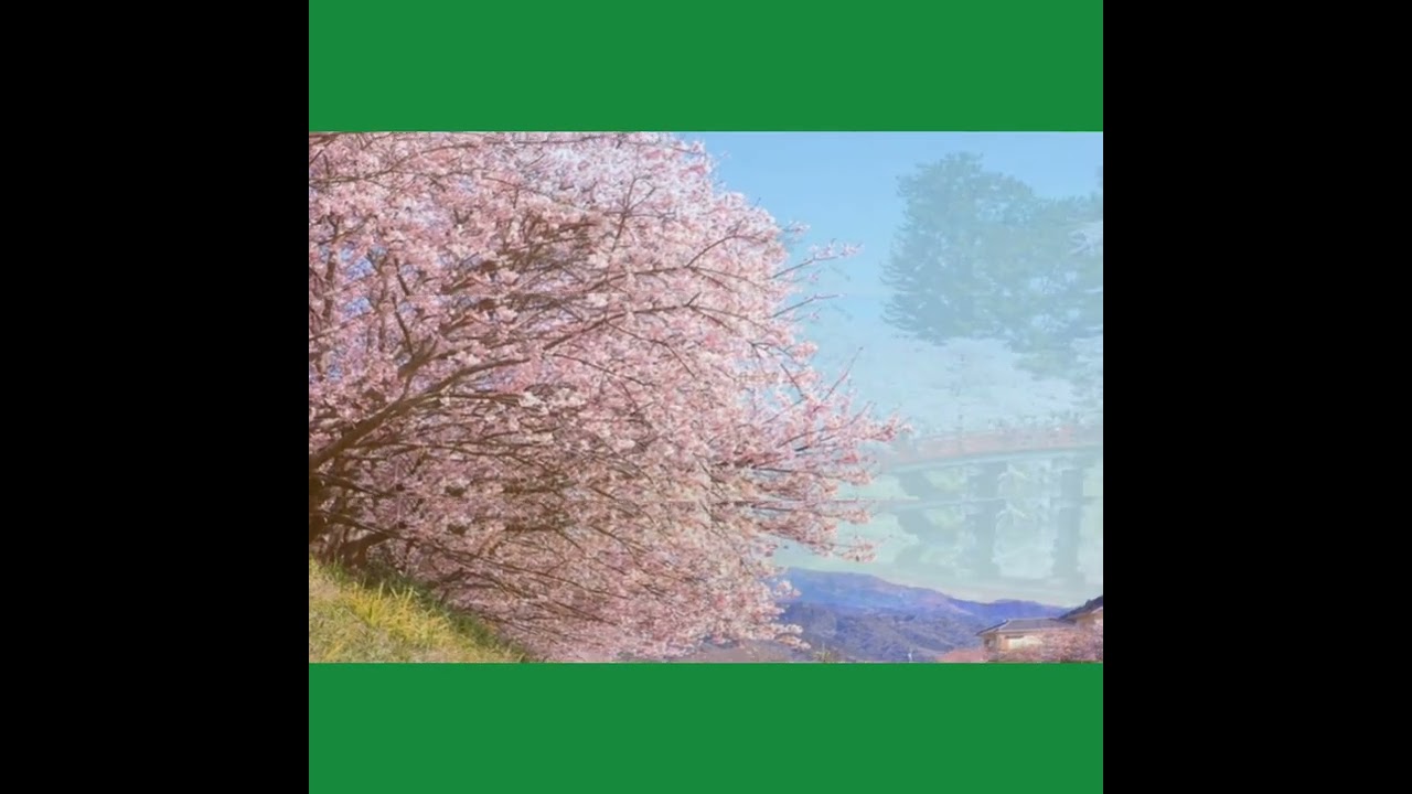 Landscape Garden design (Beautiful Sakura in the world)