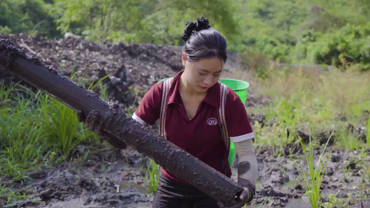 Harvesting Rare Snow Fungus in the Forest & Goes to Market to Sell – Simple Rural Life
