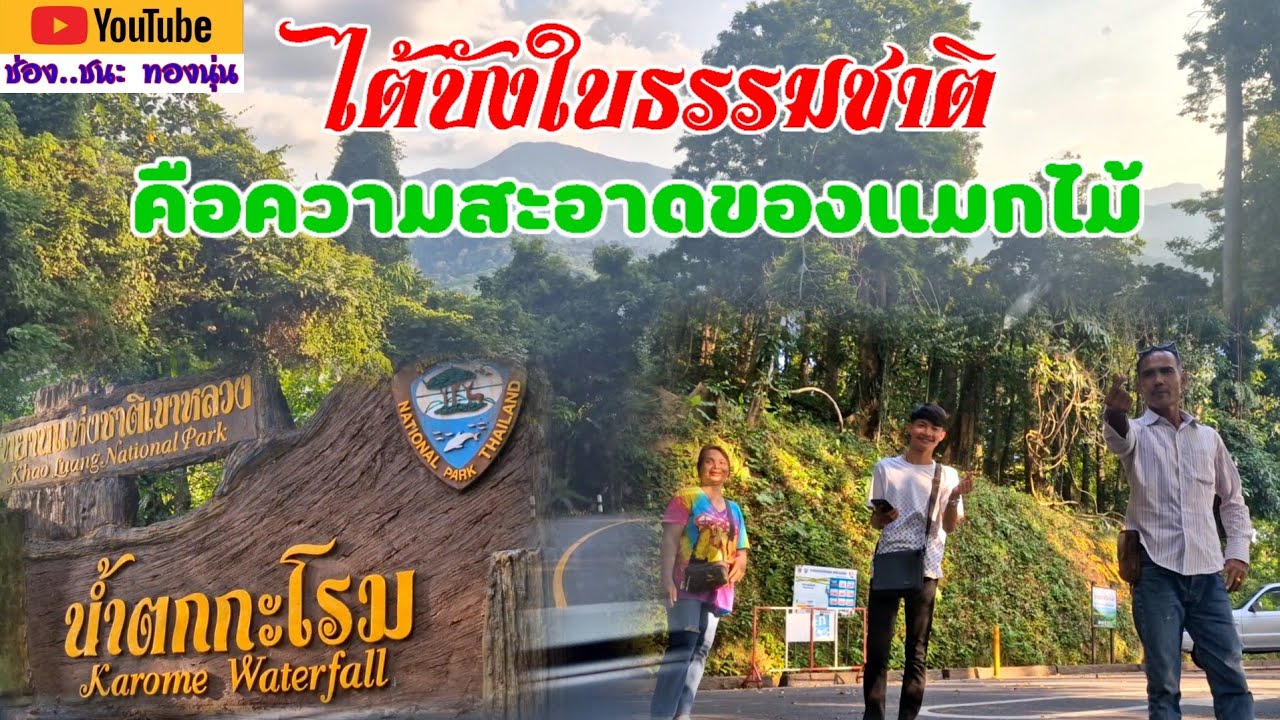 🥰 ตั้งใจมายลโฉม น้ำตกกะโรม ที่สวยงาม..♥️#ชนะ ทองนุ่น#น้ำตกกะโรม