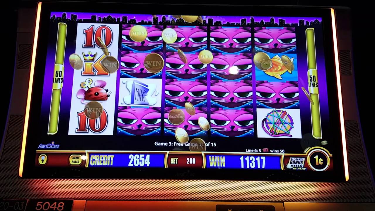 Miss Kitty slot machine Bonus with lots of sticky wilds