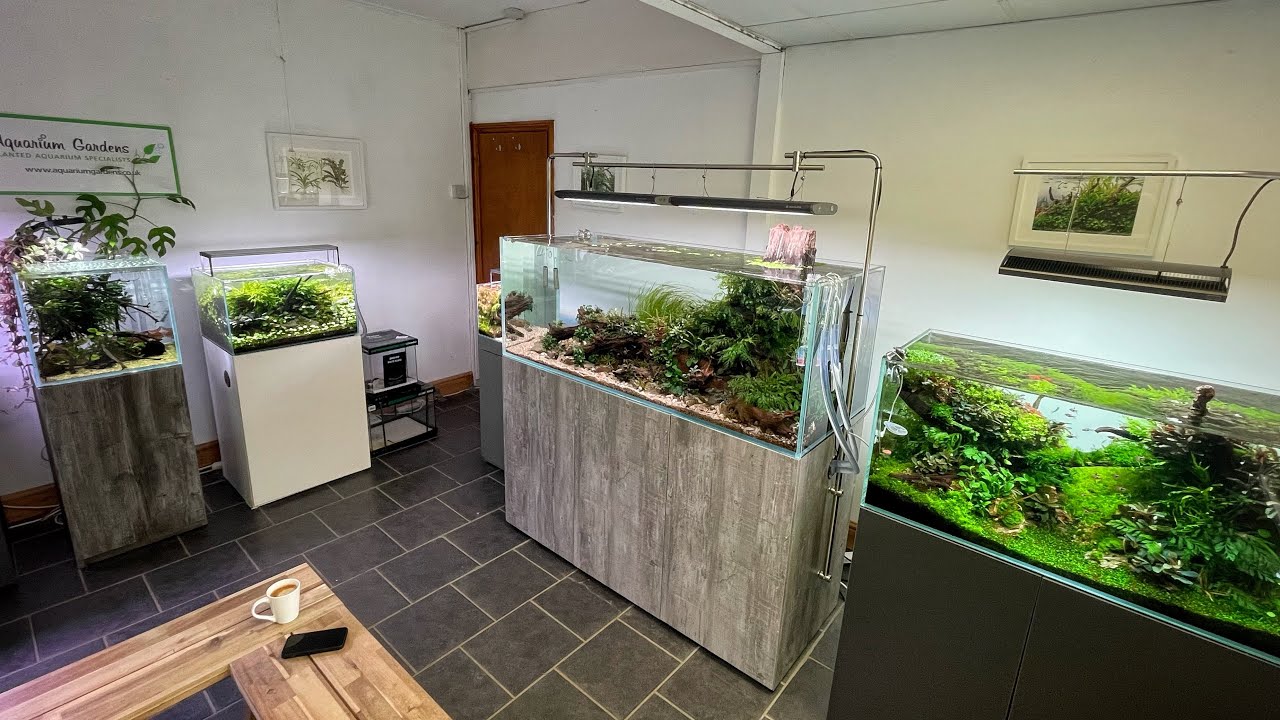 THE UK’S BEST AQUASCAPES UNDER ONE ROOF??