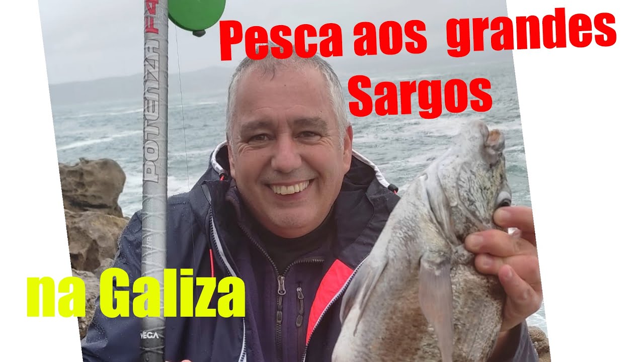Pesca aos Grandes Sargos da Galiza