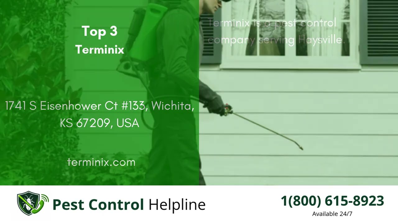 Top 3 Pest Control in Haysville