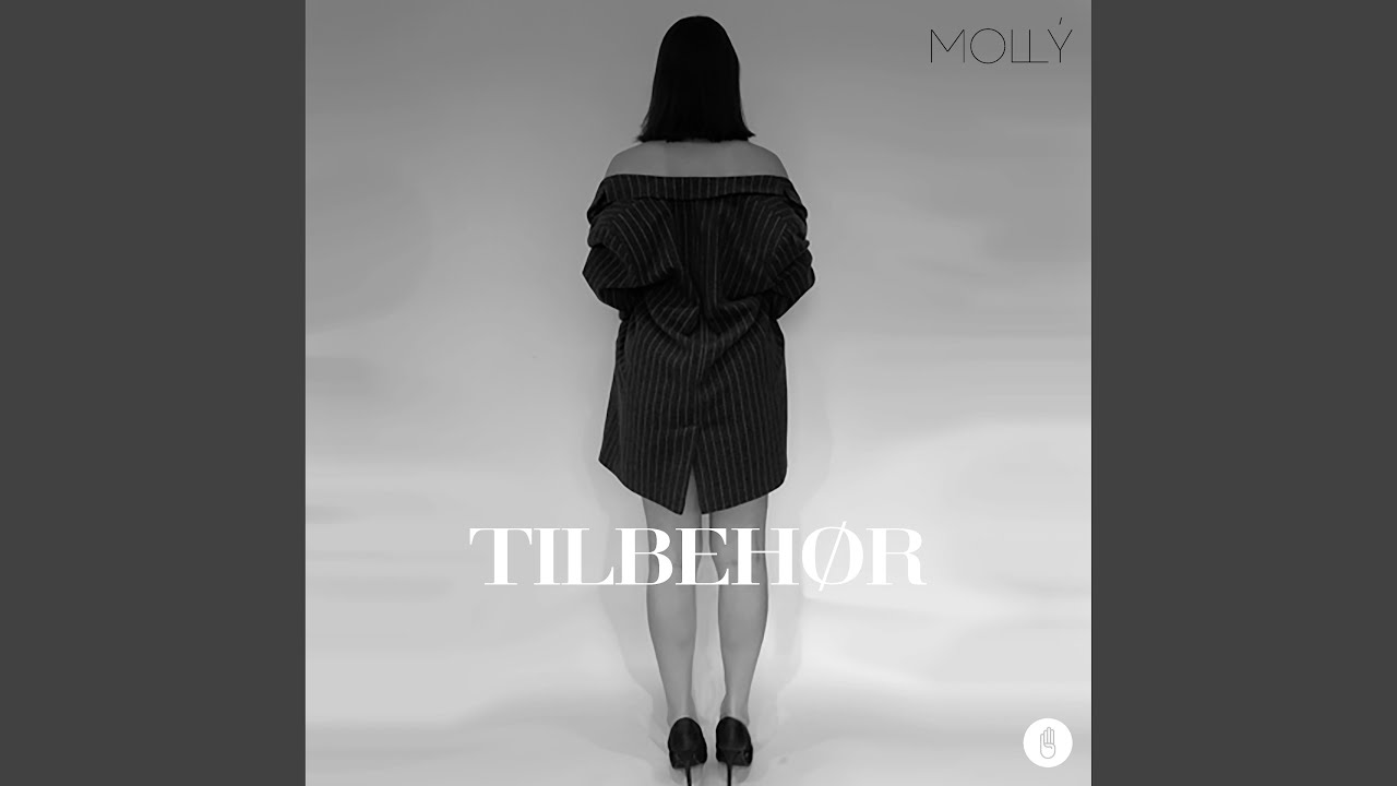 Tilbehør