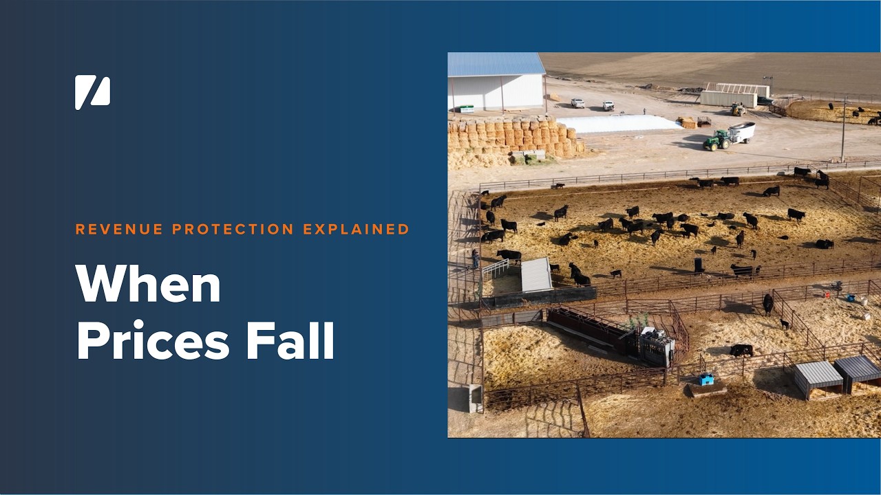 Crop Revenue Protection: A Farmer’s Perspective