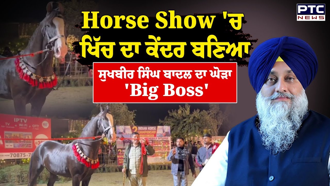 Moga Horse Show : ਖਿੱਚ ਦਾ ਕੇਂਦਰ ਬਣਿਆ Sukhbir Singh Badal ਦਾ ਘੋੜਾ 'Big Boss' | Punjabi News