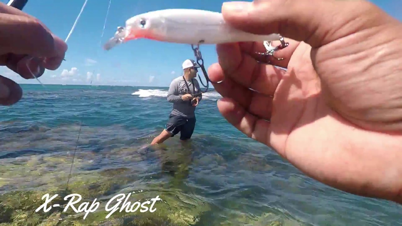 Pesca de jurel grande en Puerto Rico