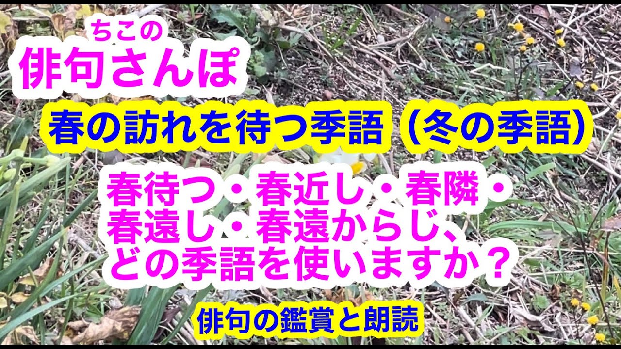 【俳句さんぽ・第50回】春を待ちわびる季語、春待つ・春近し・春隣・春遠し・春遠からず😲あなたはどの季語を使いますか？#俳句#俳句鑑賞#俳句朗読
