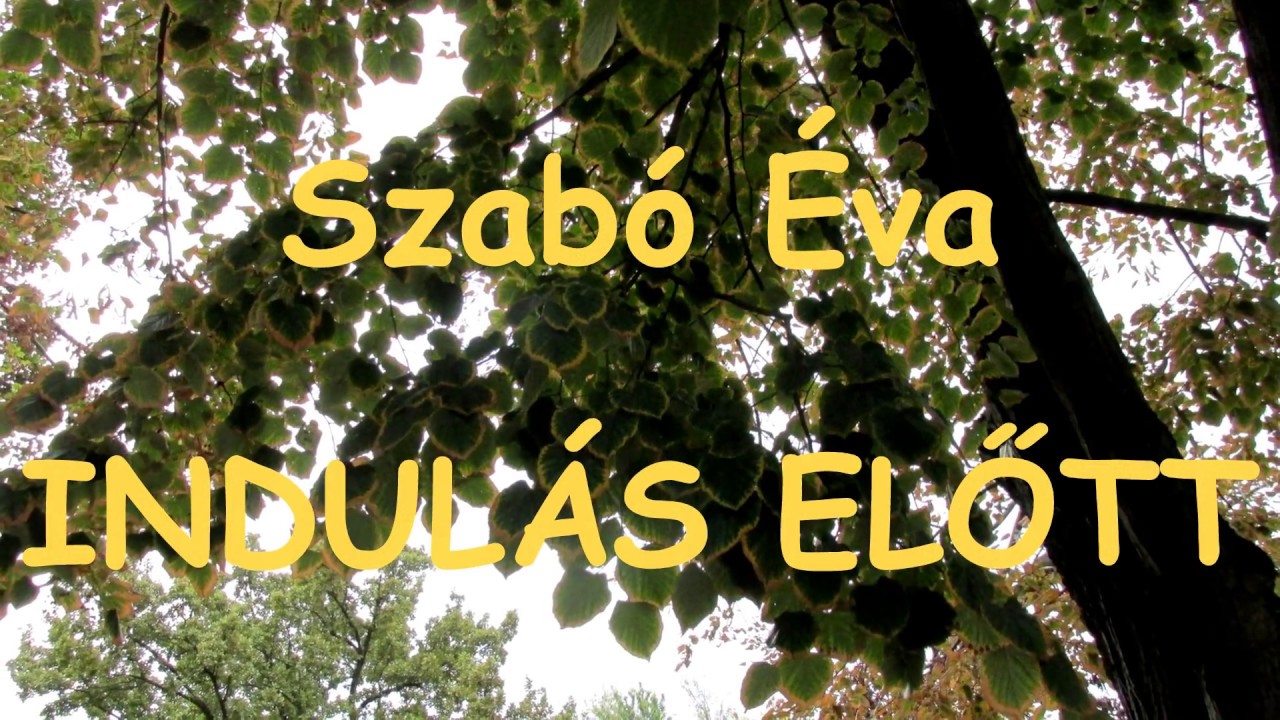 SZABÓ (NIKOLIN)  ÉVA - INDULÁS ELŐTT - 2017/ 637.
