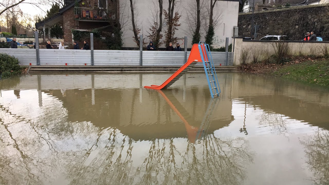 Hochwasser überflutet Teile Kölns | Live vor Ort