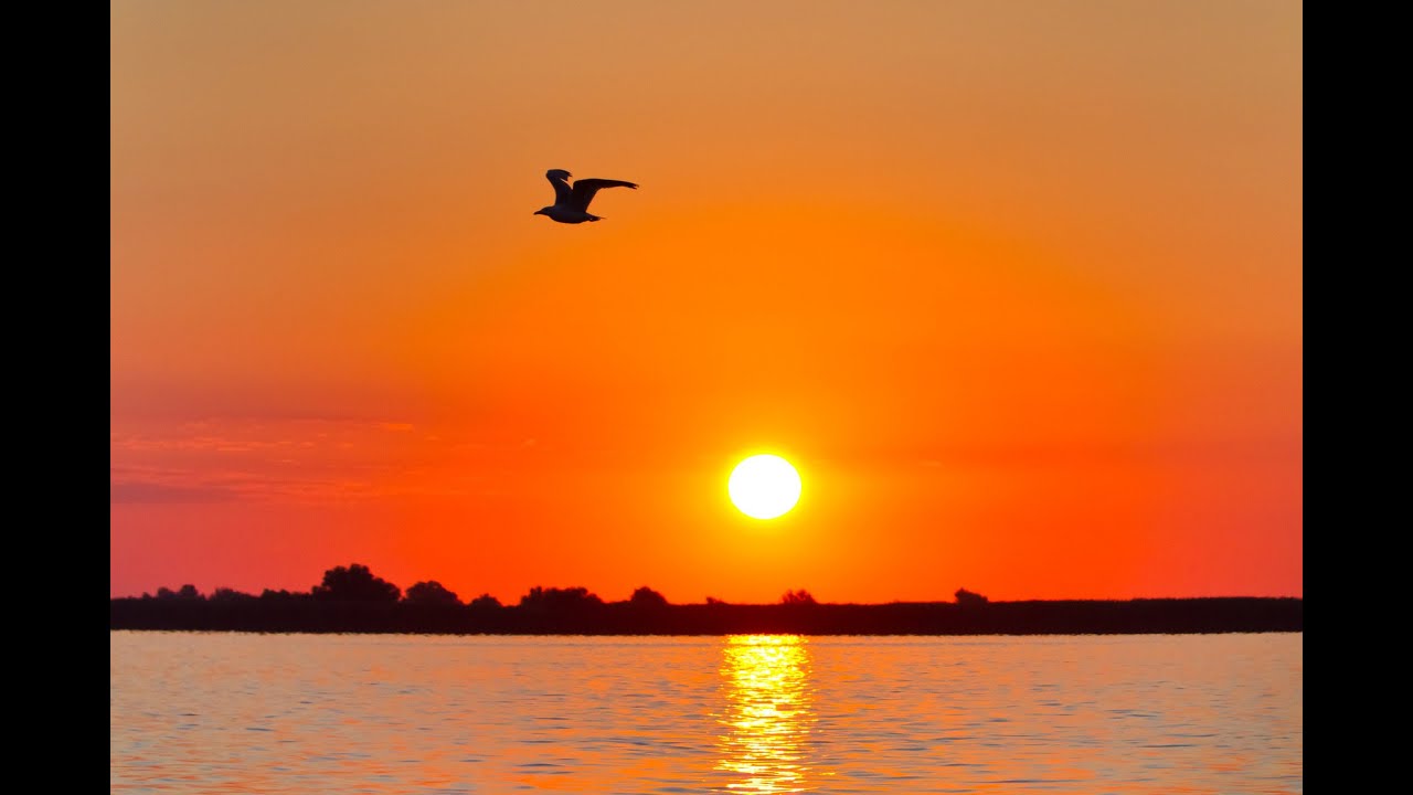 POWERFUL! Guided Visualization Meditation: Open the Magic Book - It will answer your questions
