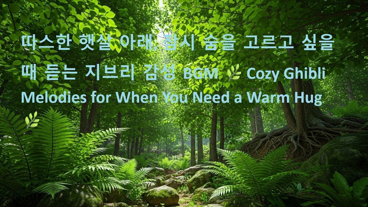따스한 햇살 아래, 잠시 숨을 고르고 싶을 때 듣는 지브리 감성 BGM 🌿Cozy Ghibli Melodies for When You Need a Warm Hug 🌿