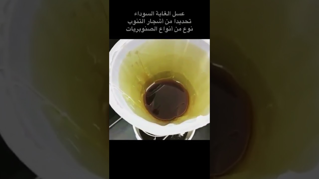 حقائق عسل الغابة السوداء