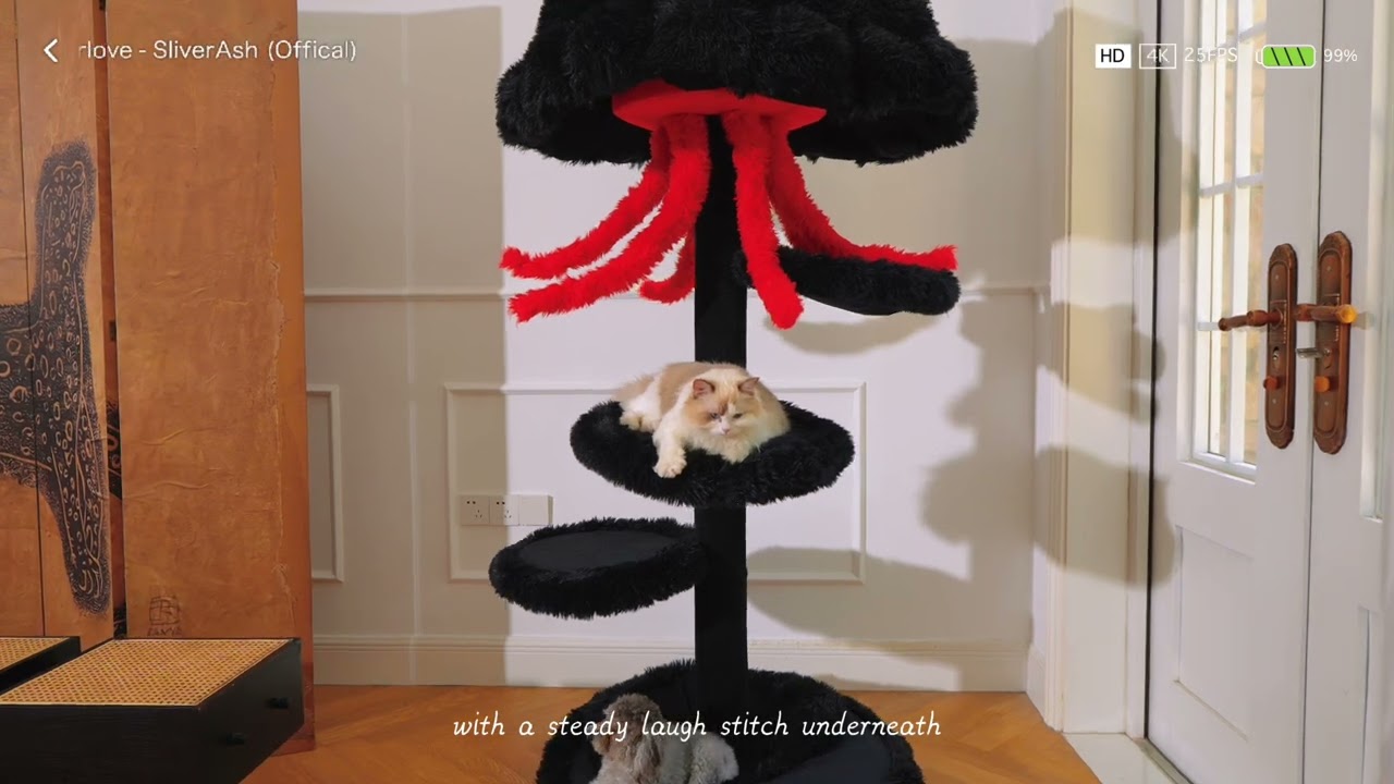 Some momentsare worth replaying.#PurrNook #jellyfishcattree #cattree #kittens #catlover