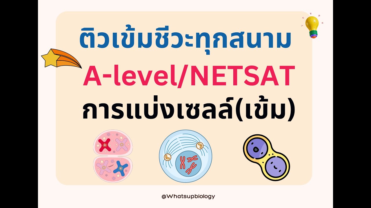 คาบ 3 1 ปี 69 เรื่อง การแบ่งเซลล์