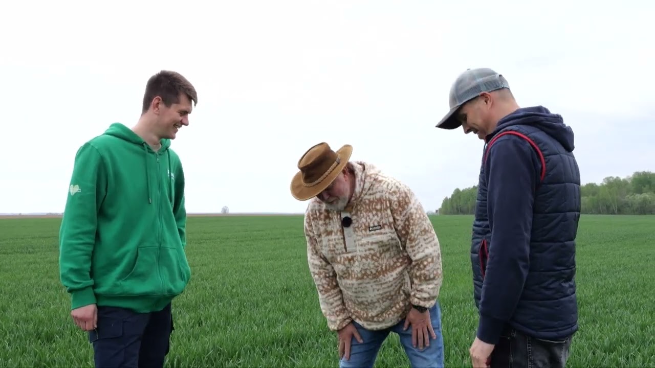 VYTARO FERMA | Kai šliužai užpuola rapsą | BASF