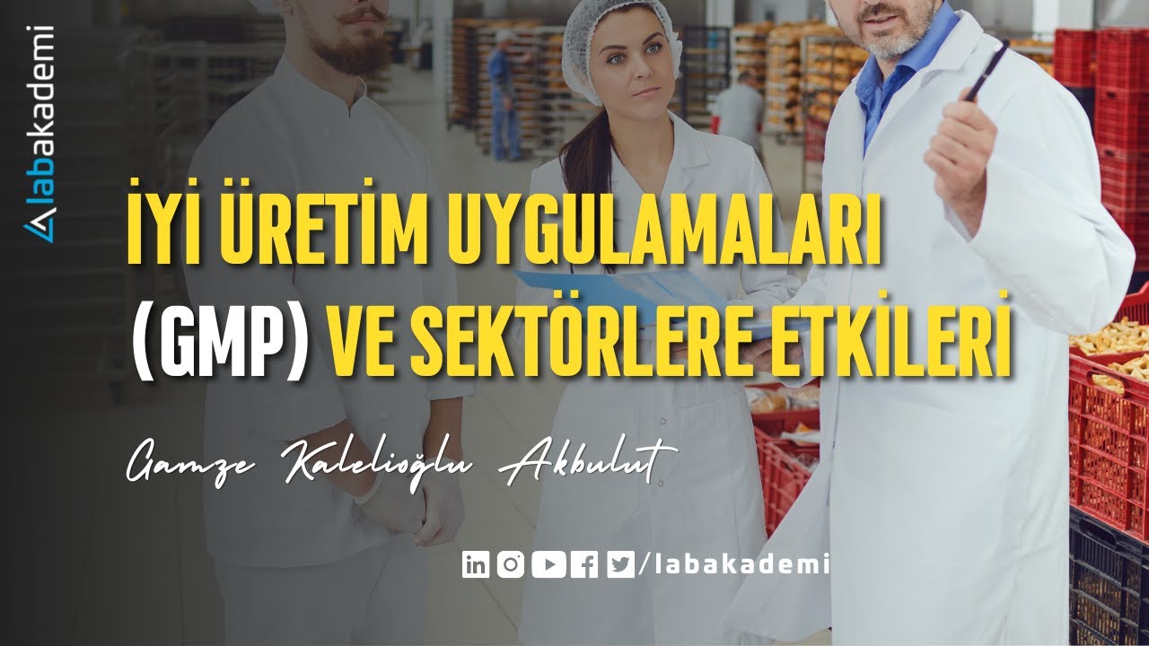 İyi Üretim Uygulamaları (GMP) ve Sektörlere Etkileri