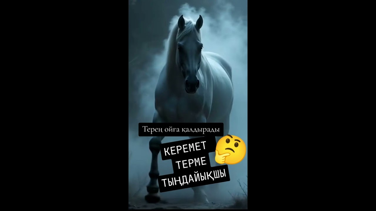 Терме оиға қалдырады Керемет терме тіндайықшы #терме #тіндайықшы #өмір #Қазақстан 🇰🇿🇰🇿🇰🇿🇰🇿🇰🇿🇰🇿