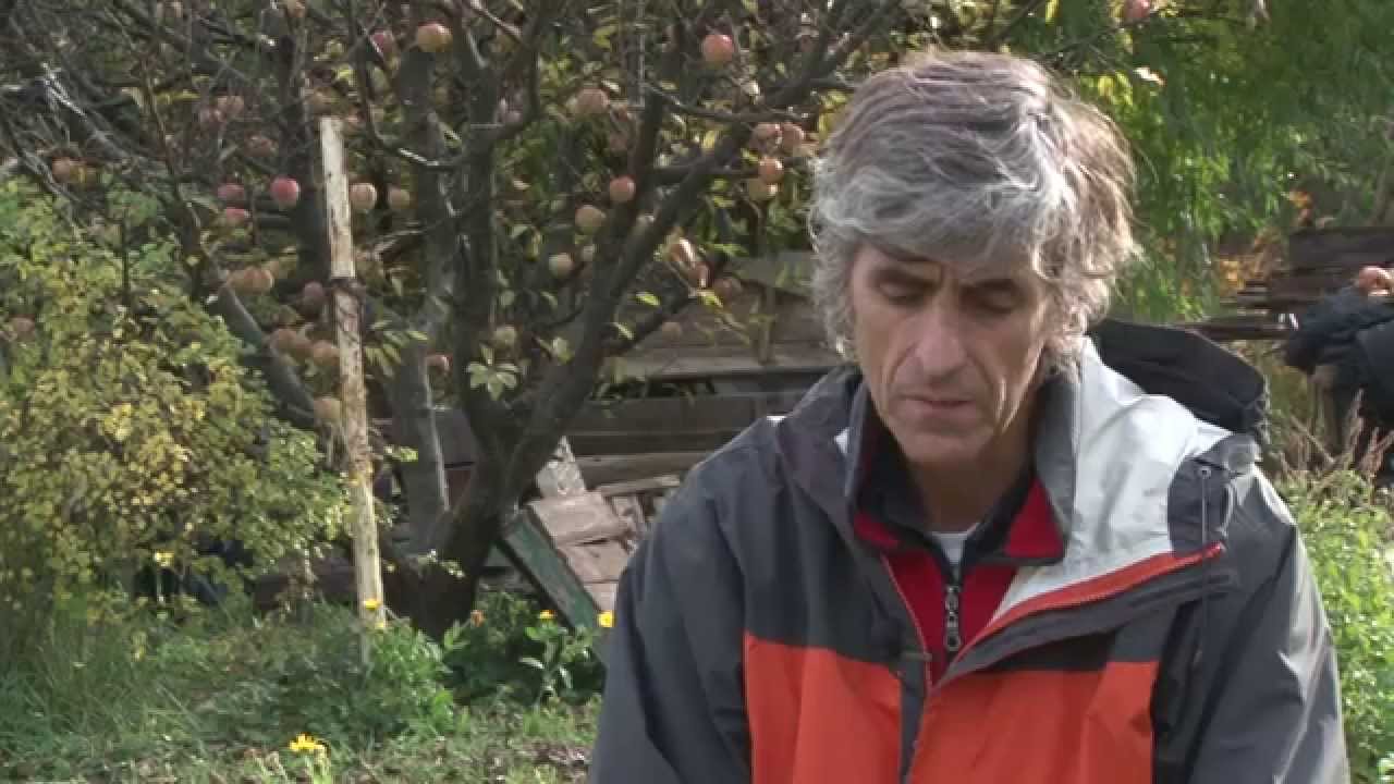 PRODUCTO CHUBUT 2 - Programa 8 (Proyecto CIESA)