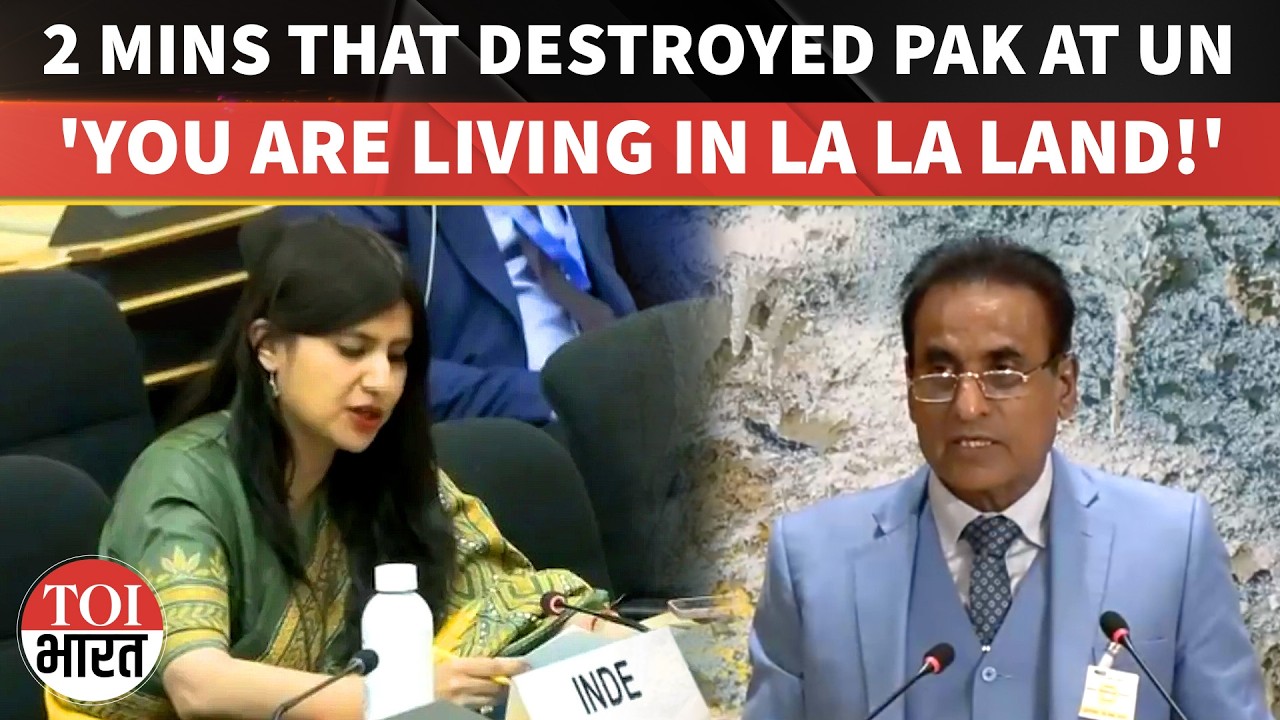 'Kashmir's Budget Is Double Of Your IMF Bailout': Indian Envoy's Brutal Dig At Pakistan At UNHRC