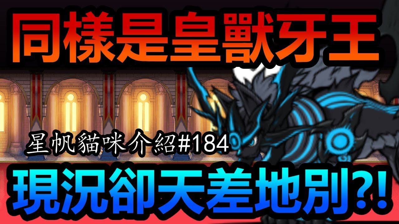 《貓咪大戰爭》貓戰黑藍眼の開創者！他的現況究竟如何呢？ | 星帆貓咪介紹#184