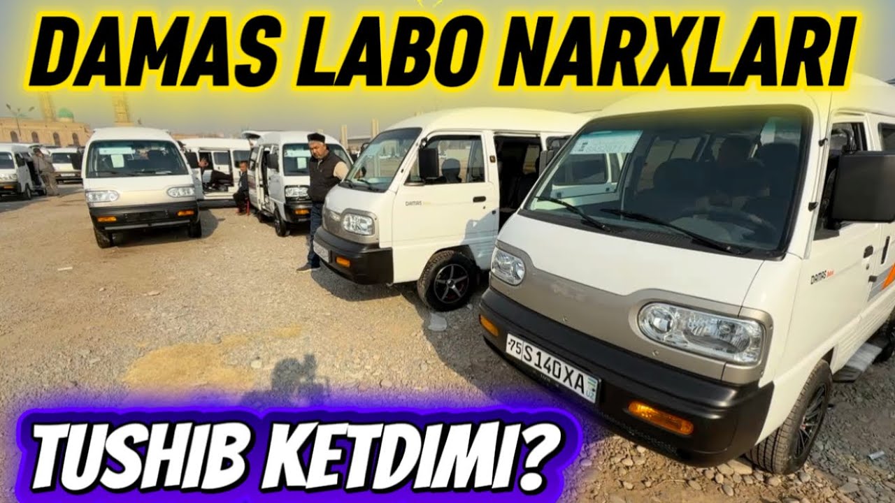 SURXONDARYO DENOV MOSHINA BOZORI DAMAS LABO NARXLARI 23.11.2025y