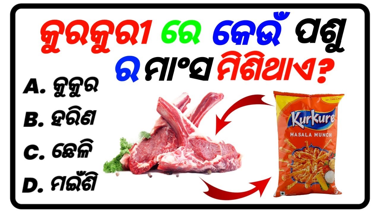 Top 20 General knowledge | kurkur | GK Question | GK In Odia | GK Question and Answer |