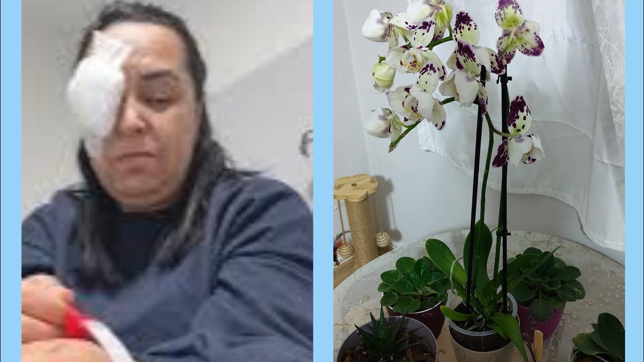 Мне сделали еще одну операцию 🤕 Привет из больницы 🤕 Когда я вернулась домой, меня ждал сюрприз —...