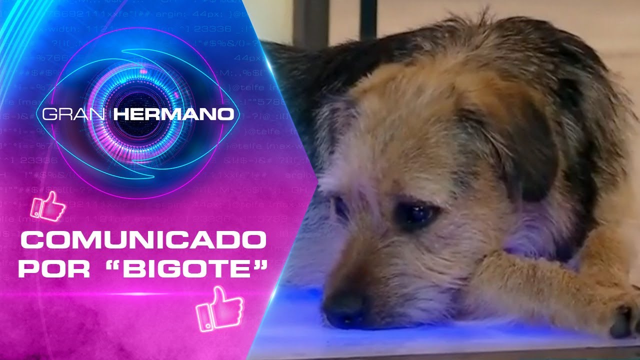 DURA ADVERTENCIA: Llegó comunicado por cuidados de 