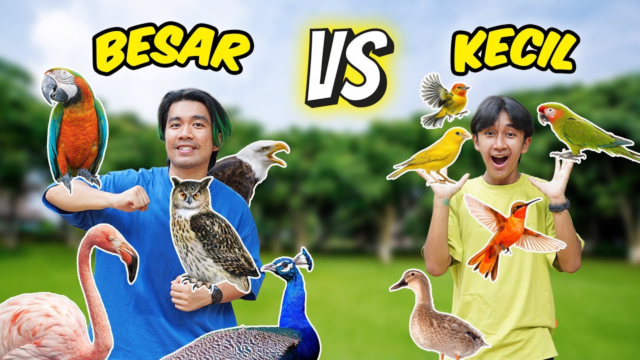 Tantangan Mencari Burung BESAR vs KECIL di Jakarta Bird Land Ancol