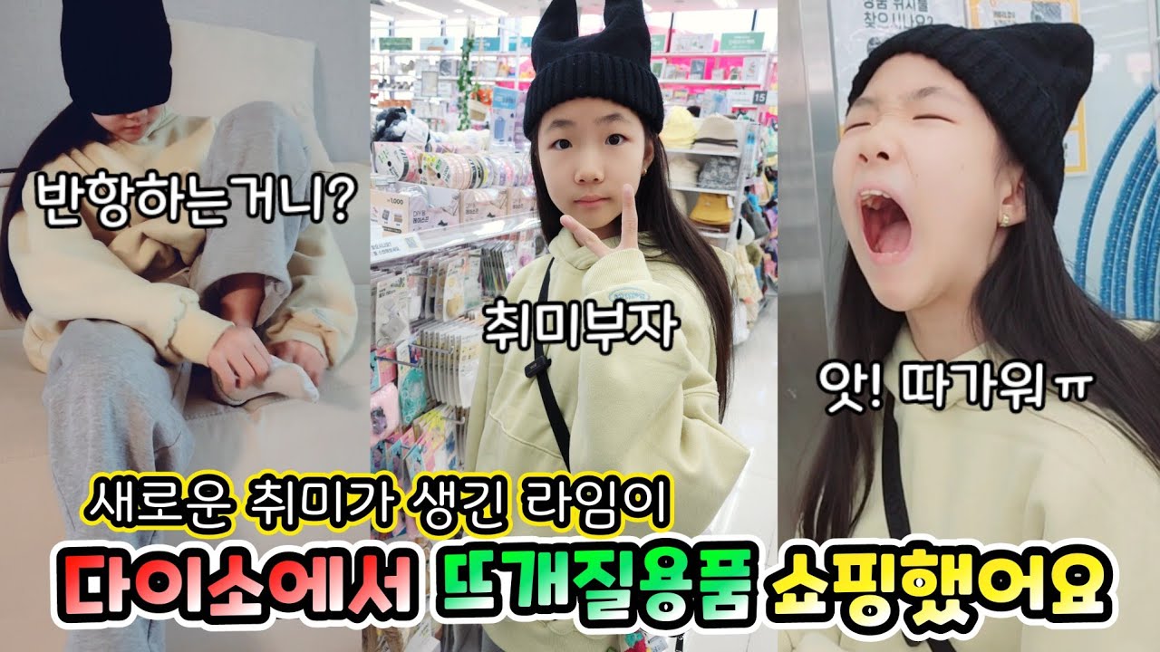 라임이 새로운 취미생활을 위해 다이소에서 쇼핑했어요 롤롤라임팸 가족일상 브이로그