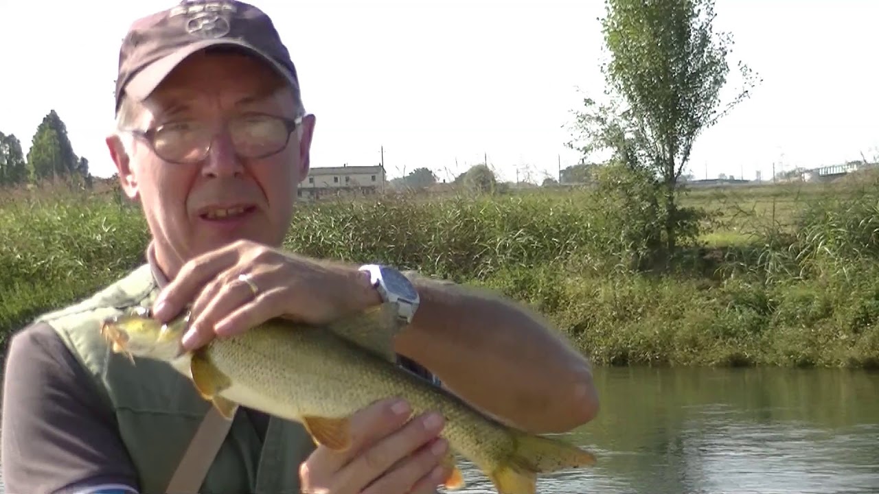 pescata a feeder sul canale muzza