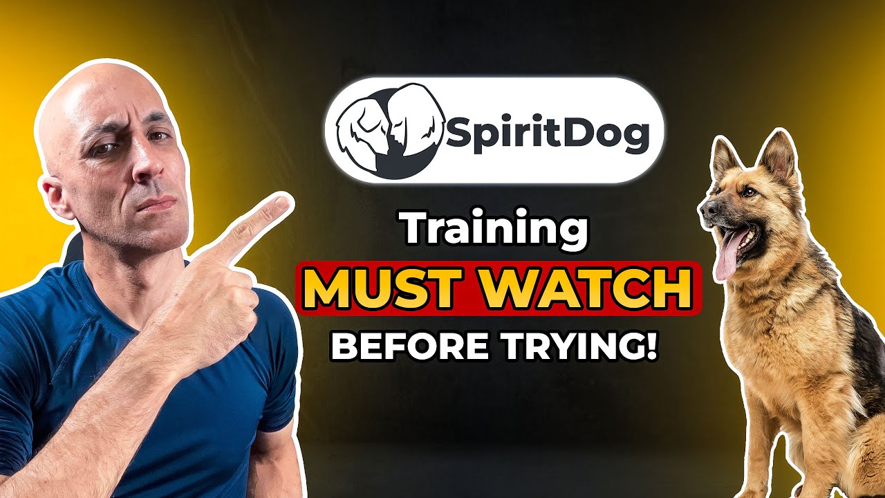Spirit Dog Training Review: Is It Worth It?