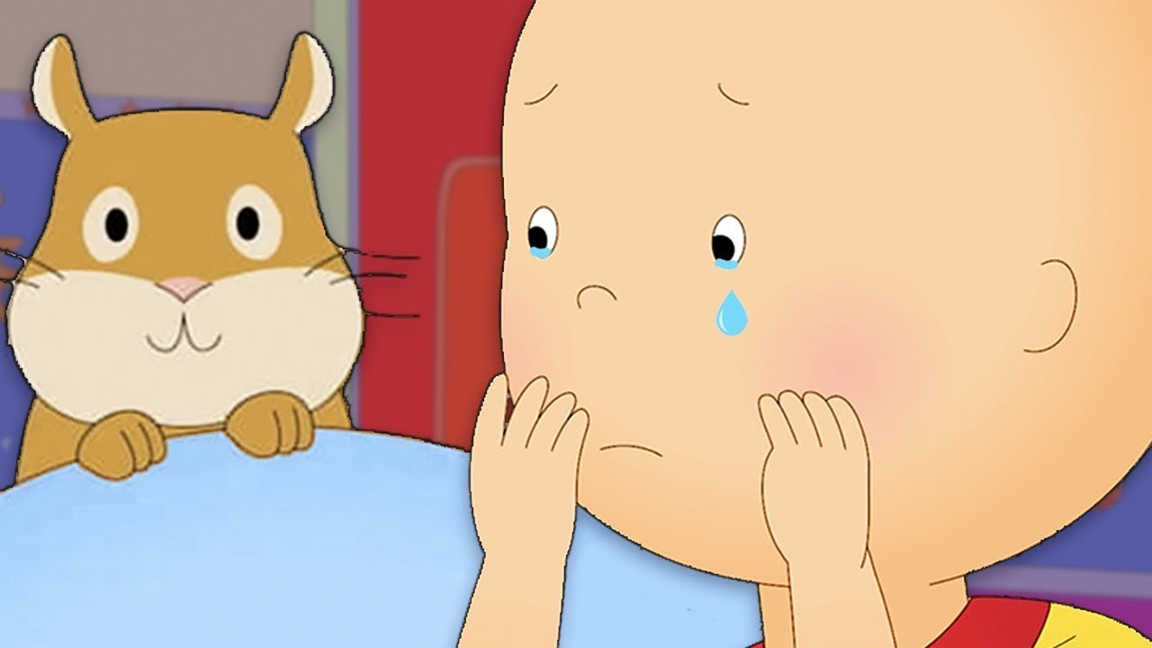 Caillou und der Tote Hamster | Die Neuen Abenteuer von Caillou | Caillou auf Deutsch