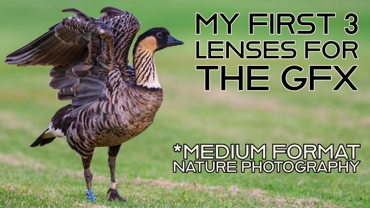 A Three Lens Starter Kit for the GFX 100 II