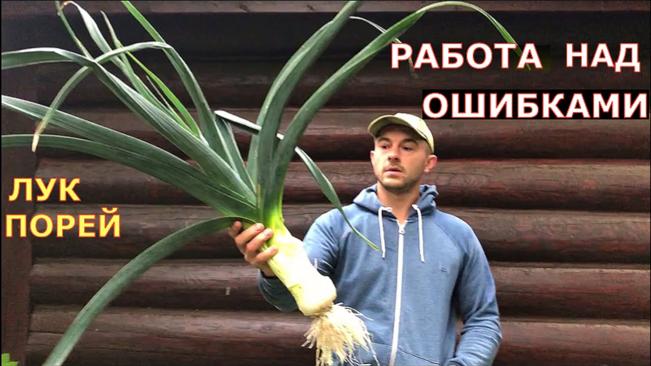 Как вырастить ОГРОМНЫЙ ЛУК ПОРЕЙ ? От семян до урожая в одном видео.