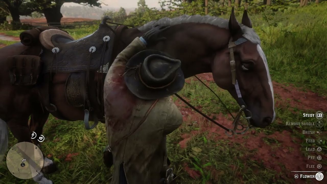 Red Dead Redemption 2
