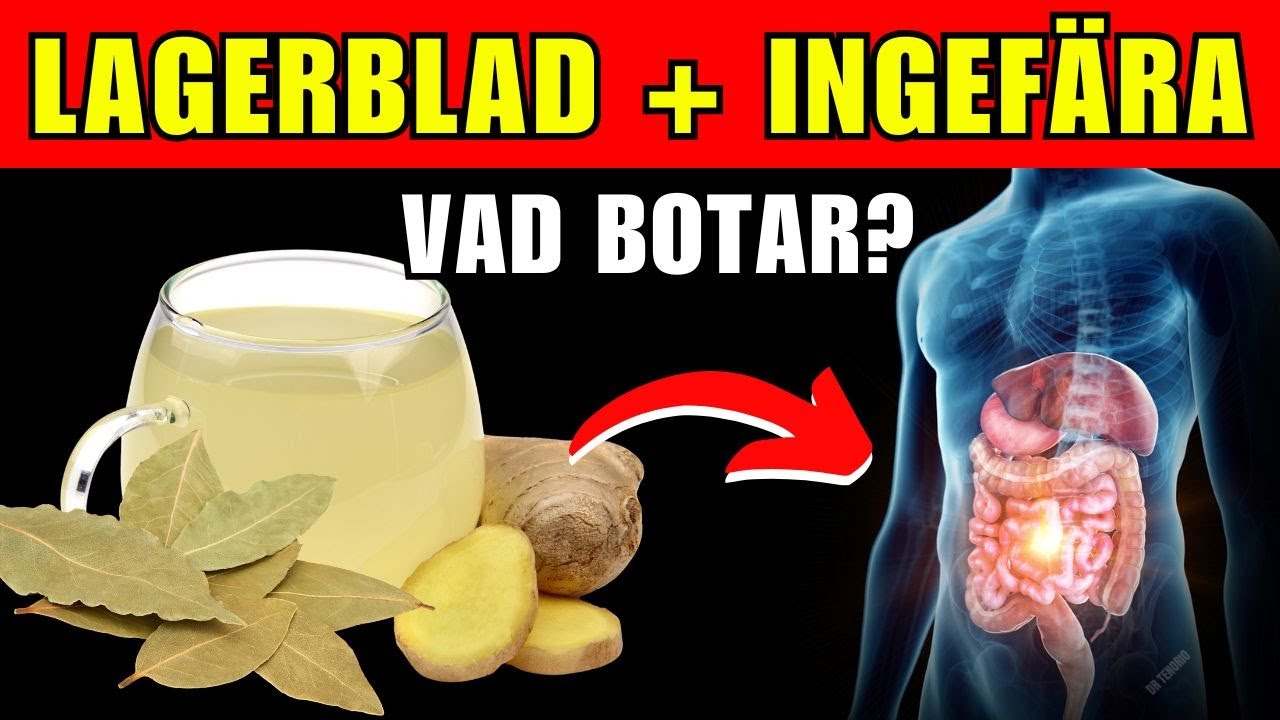 TE PÅ LAGERBLAD + INGEFÄRA: 7 STORSLAGNA FÖRDELAR FÖR DIN HÄLSA!