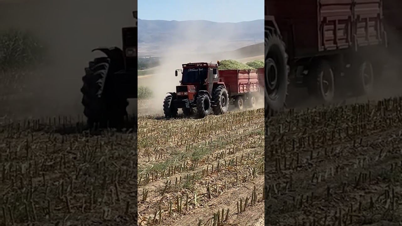 #keşfetbeni&ouml;ne&ccedil;ıkar #farming #keşfet #tarım #t&uuml;mosan #8095