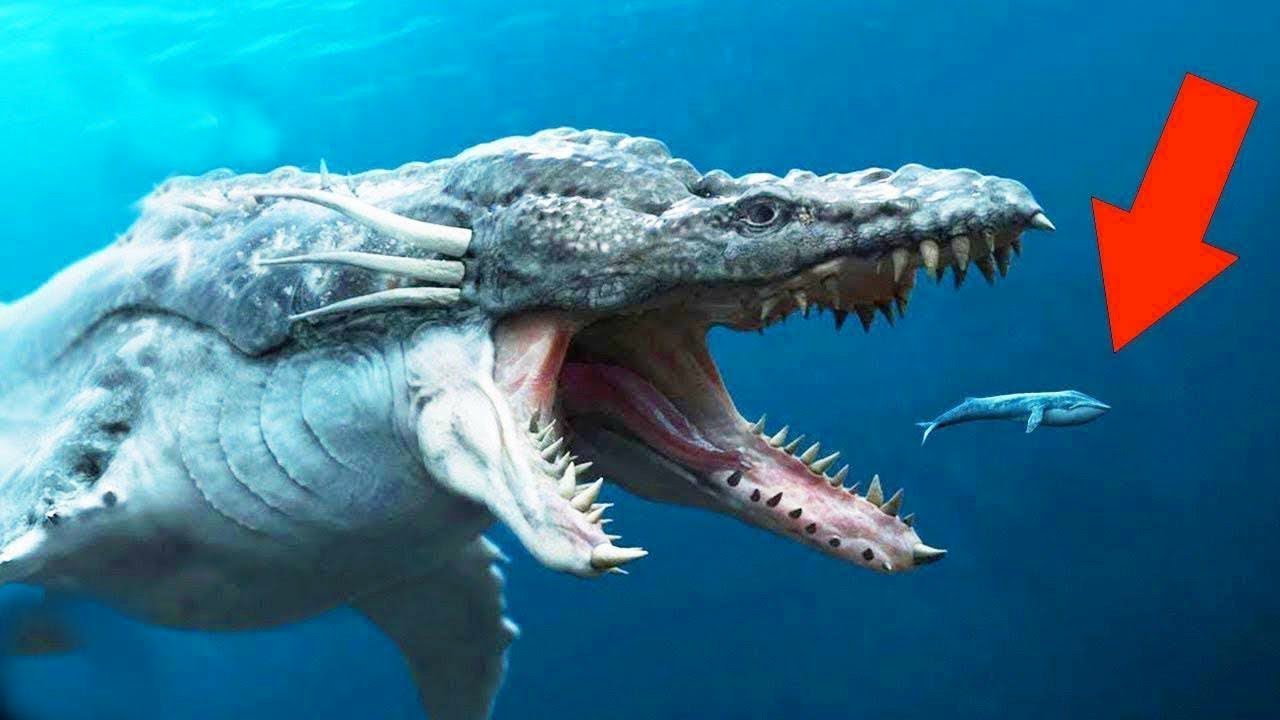 7種比巨齒鯊還要恐怖的海中生物