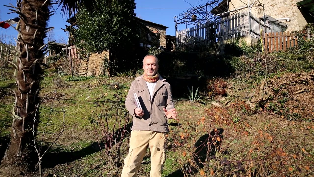 La Rosa - descrizione e scelta delle piante