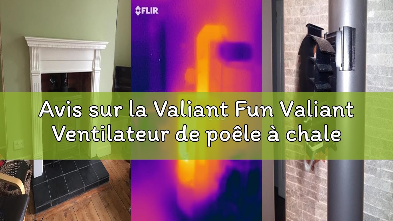 Avis sur la Valiant Fun Valiant Ventilateur de poêle à chaleur magnétique Remora (FIR350), noir, 200