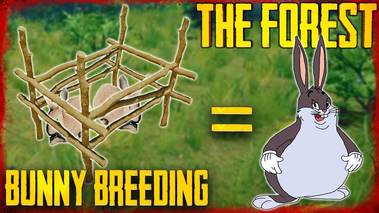 HOW TO BREED RABBITS | The Forest