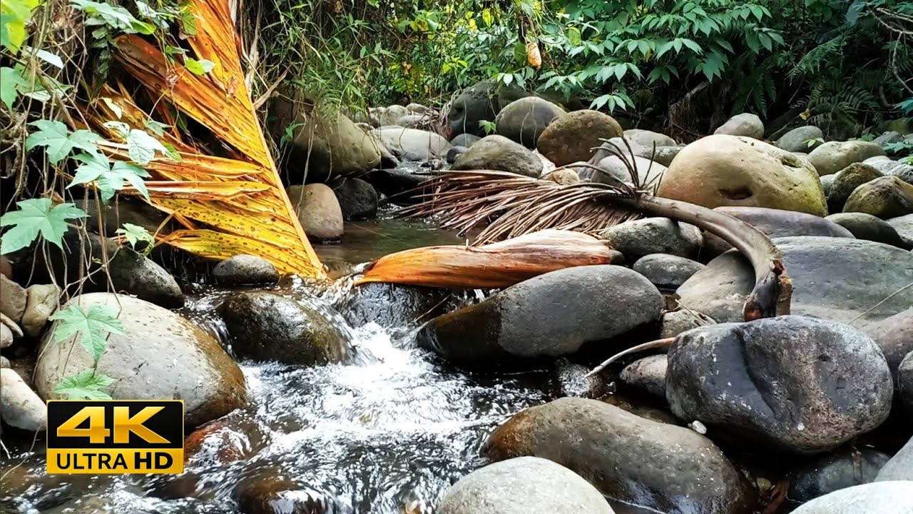 Pure River Sounds 🌊 8 Hours Deep Relaxation ASMR (4K UHD)
