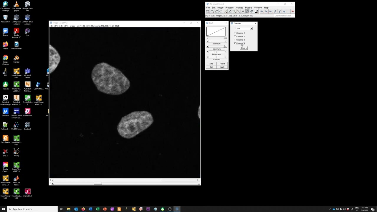 Basic adjustments of fluorescent images with FIJI