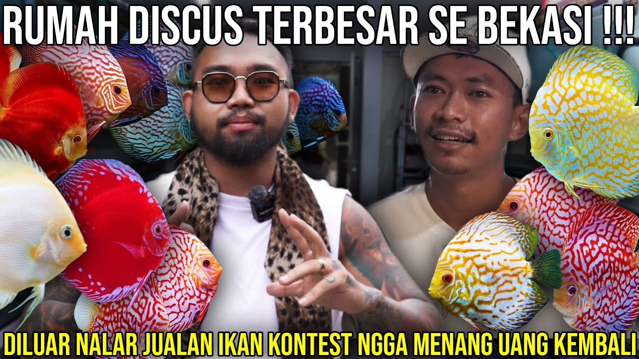 RUMAH DISCUS TERBESAR SE BEKASI !!! DILUAR NALAR JUALAN IKAN KONTEST NGGA MENANG UANG KEMBALI