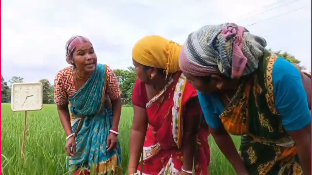 কামেলাগুলার বিষাক্ত গিরি 😂 ভিডিও টি খুব মজার বন্ধু রা #comedyvideo #varialvideo 